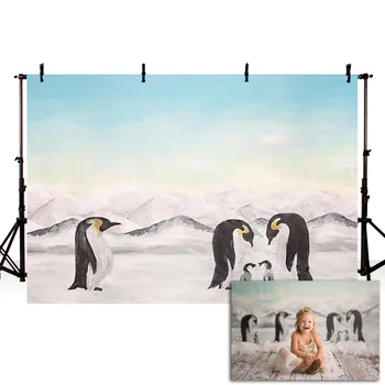 Mehofond de pinguins da Antártica pano de Fundo Frio de Neve Glaciar Bebê Fotografia de Retrato de Fundo para a Foto Studio Photophone
