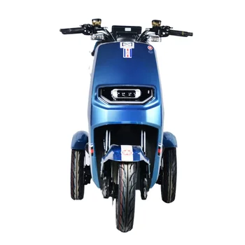 Velocidade de 30km/h Atacado 3 Rodas Triciclo Elétrico da Motocicleta de Três Rodas Eléctrica Triciclos Para Adultcustom